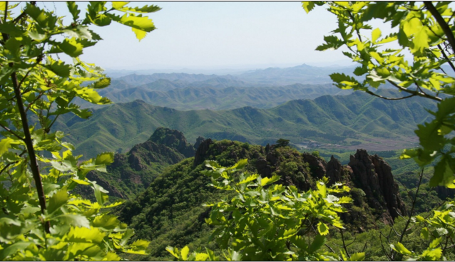 仟億達(dá)集團(tuán)與遼寧北票就林業(yè)碳匯項(xiàng)目達(dá)成合作