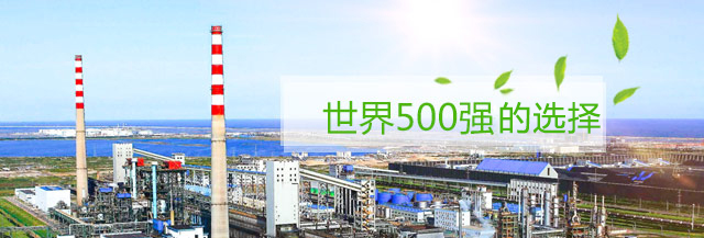 世界500強企業(yè)的選擇